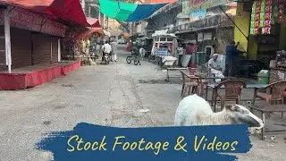 Local Life in Rajasthan | Village Market Street Scene India