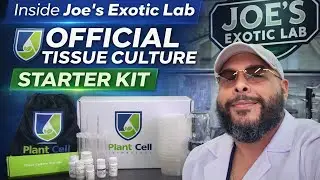 I Built a Plant Tissue Culture Lab Using This Starter Kit (Beginner to Pro)