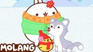 Husky Adventures with Molang | Funny Animal Cartoon For Kids | HooplaKidz Shows