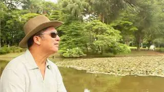 Di Santana -- Soltar As Amarras