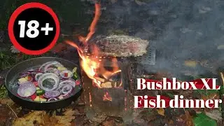 BUSHCRAFT COOKING,  Cooking red mullet fish on my bushbox XL stove