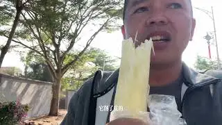 廣東狀元之鄉，特色小吃很美味。村民的房子一棟棟很豪華，這裏的人很有錢