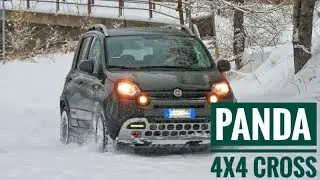FIAT PANDA 4X4 CROSS...CHE AUTO!