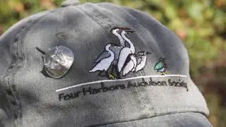 Reboli Center video featuring the Four Harbors Audubon Society