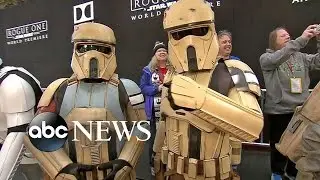 'Rogue One' Premiere Night Highlights