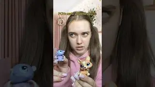 Mieliście kt&oacute;reś z petshop&oacute;w z tego filmiku? Dawajcie znać kt&oacute;re! 🤩🐶🐱 #comedy #dzieciństwo
