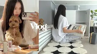 (sub) vlog 수납장 정리하고 드디어 복층 에어컨 청소! 🧹ㅣ연희동나들이, 지그재그 팝업 다녀온 일상 브이로그ㅣ화장대 정리・더현대서울・베어그릭스 그릭요거트・베리와 한강산책