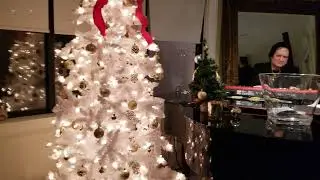 STEVIE SWING DOING MY CHRISTMAS SONG I WROTE, WITH LYRICS BY KEN KARLSON!