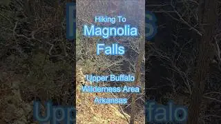 Magnolia Falls #hike #nature #ozarknationalforest #trekking #hikingadventures #shorts #wilderness