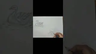 Elephant sketching /How to draw elephant elephant