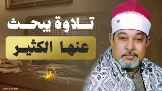 الشيخ السيد سعيد 🍂 سورة المائدة 🍂 تلاوة أسطورية أبهرت الحاضرين