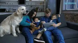 Doghood lets you create and attend all dog friendly events near you!