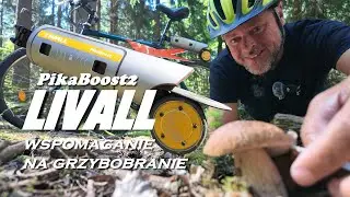 LIVALL PikaBoost2 - Wspomaganie na grzybobranie! Analogowy rower ze wspomaganiem elektrycznym