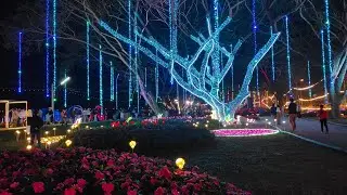 Chiang Rai Flower Festival Thailand2025 🌸Highlights Northern Thailand	•	Chiang Rai  2025 🇹🇭 Amazing