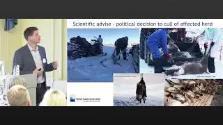 Eradication of wild animals for zoonotic/epizootic diseases and animal welfare