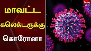 மாவட்ட கலெக்டருக்கு கொரோனா | SathiyamTV | innocent divya collector | Covid19 |