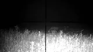 Deer game - MEOPTA ZD TACTICAL 4-16x44 & PARD NV007 SP850 LRF (jelenska divljač)