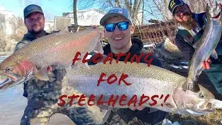 SouthEast Wisconsin Steelhead fishing! Large Lake Michigan Steelhead!
