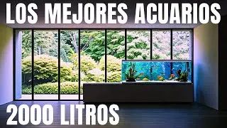 NUEVO MEGA ACUARIO NUEVO MEGA PROYECTO
