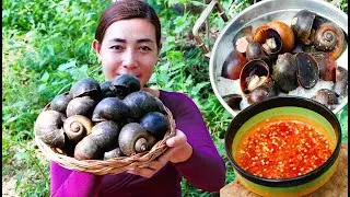 Amazing cooking snail with chili sauce recipe