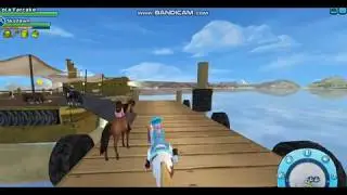 Buying a Jorvik Starter Pony and Training it!