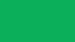 4 Hours of Jade #00A86B 0,168,107