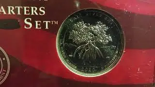 2019 W and 2020 W Quarters Investment Guide