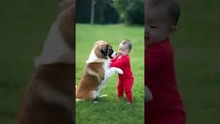 friend ship forever