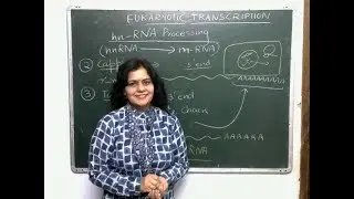 #Transcriptioneukaryotes, #hnRNA, #hnRNAprocessing, #Cistron. Transcription in Eukaryotes.