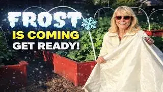 Frost Protection for Florida Gardens: What to Cover and What to Leave Alone
