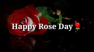 Happy Rose Day ❤ Rose Day Shayari ❤ Rose Day 2021 ❤ Rose Day Love Shayari ❤ 7 February Rose Day