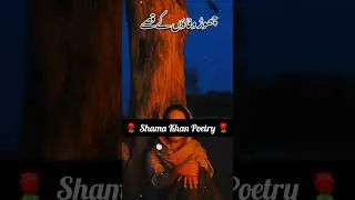 Shor wfayon ky qeesy sad status💯💞🌹||@shamakhanpoetry#khan#poetry #sadpoetry #urdupoetry #shortsfeed