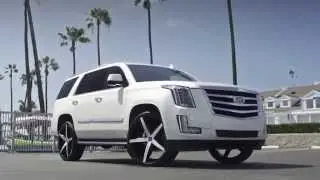 Cadillac Escalade on 26' R Four Lexani Wheels