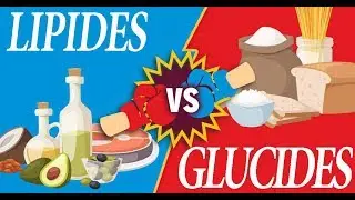 [&Eacute;tude]  R&eacute;gime pauvre en lipides vs r&eacute;gime pauvre en glucides