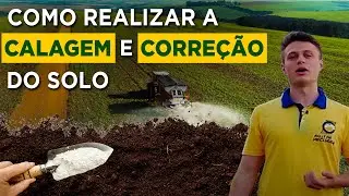 Calagem e Corre&ccedil;&atilde;o de Solos: Por Que S&atilde;o T&atilde;o Importantes?
