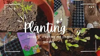 &ldquo;Planting seeds 🌱& creating my new garden&rdquo;|| &ldquo;watching tiny seeds turn into big dreams &ldquo;🌷🌱🪴
