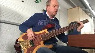 Gerald Endstrasser   Wahn-Sinn
