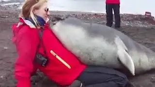 Interacci&oacute;n humano animales