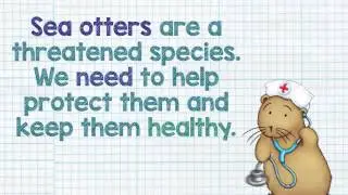 Sea Otter Animation