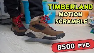 Обзор ботинок Timberland Motion Scramble