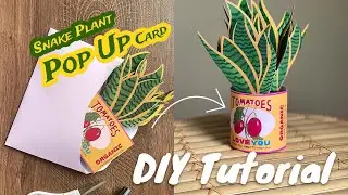 Paper DIY ✂️ Snake Plants Pop Up Card🦋 Tutorial | ASMR | ElkaYang