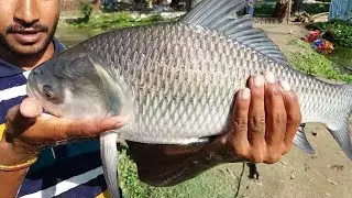 Most Amazing & Unbelievable Big Pond Fishing Video 2023 | Everyone Should Watch This Fishing Video