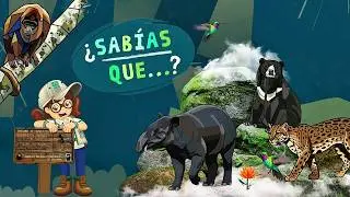 🌿🐒 Día Mundial de la Vida Silvestre
