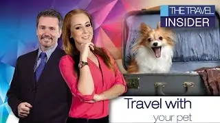 Petfriendly destinations in Mexico