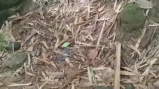 new well cover cleanup