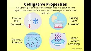 Colligative Properties Explained | Raoult&rsquo;s Law, &Delta;Tb, &Delta;Tf, Osmotic Pressure