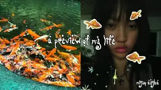 📹 a preview of my life | misuo aesha 𐙚⊹₊⋆☆