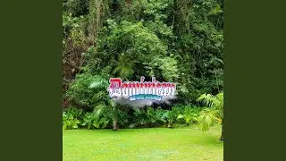 Dominican Rainforest Rain