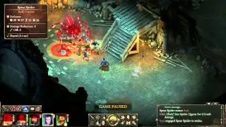 Pillars of Eternity - Spider queen in Caed nua