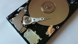ASMR show: Hard Drive ASMR (with condiments)
